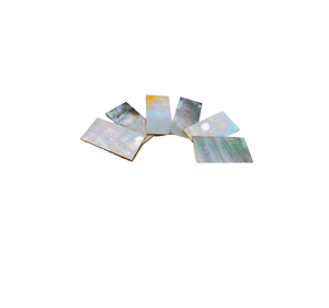 วัสดุฝังเปลือกหอยมุกดำจากโรงงานเวียดนาม / แผ่นเปลือกหอยมุกดำสำหรับงานฝีมือ ตกแต่งบ้าน และเครื่องประดับ - Product Image 6