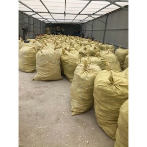 Os de seiche séché naturel de haute qualité, grande taille, fournitures pour oiseaux, Vietnam GIA GIA NGUYEN - Product Image 2