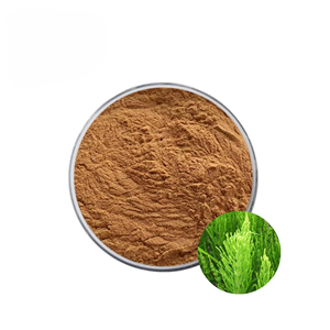 Poudre d'équidène en vrac OEM/ODM pour la croissance et la force des cheveux, poudre de Equisetum Arvense finement broyée pour les soins des cheveux et de la peau - Product Image 6