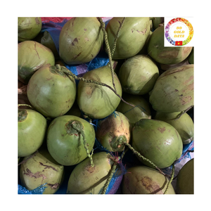 มะพร้าวสด |   ฝาเปิดง่าย |   เครื่องดื่มธรรมชาติ |   การจัดหาสินค้าจำนวนมากสำหรับร้านค้าปลีกและเครื่องดื่ม เวียดนาม - Product Image 2