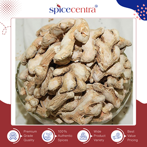 Nouveauté, vente chaude, gingembre entier séché 100% pur et authentique pour la cuisine, durée de conservation de 12 mois, prix en gros, Spicecentra - Product Image 5