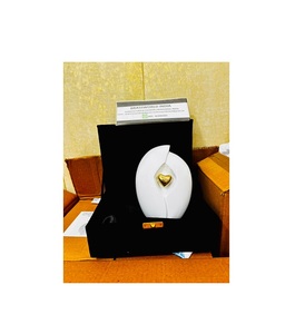 Urnas de Cremación Personalizables, Duraderas y Ecológicas, Estilo Americano para Adultos, Brassworld India, Caja de Terciopelo Verde, 200/220 Cúbicos, Venta al Por Mayor - Product Image 1