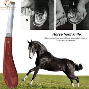 Juego de Herramientas Veterinarias Equinas Profesionales Reutilizables, Kit de Herramientas para Herradores de Caballos, Recortador de Pezuñas, Herramienta para el Cuidado de Caballos, Extractor de Zapatas, Alicates, Lima y Escofina - Product Image 6