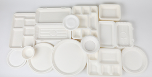 Boîte à clapet 8x8 3 compartiments biodégradable en bagasse de canne à sucre, non toxique, certifiée ISO, compostable, sans BPA, sans PFAS, pour HoReCa - Product Image 6