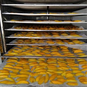 Bandes tendres naturelles de mangue séchée du Vietnam Snack juteux sucré tropical pour le marché d'exportation - Product Image 3