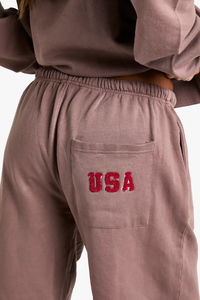 Pantalones deportivos de mujer 100% algodón color moca con estampado de bolsillo estilo americano, de pierna recta, de felpa suave, pantalones de chándal para mujer. - Product Image 4