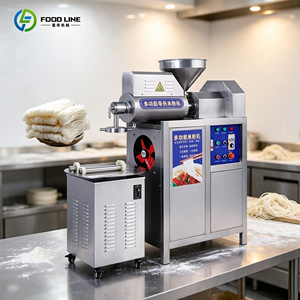 Machine à nouilles de riz commerciale grande capacité certifiée ISO pour la production en cuisine centralisée et la fourniture aux cantines institutionnelles - Product Image 6