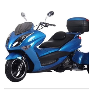 Profitez de performances haut de gamme avec le scooter trike EFI 300cc 3 roues 2025, conçu pour le confort et le contrôle. - Product Image 1