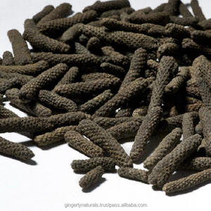 Polvo de extracto de hierbas Piper Longum puro 100% grado alimenticio cultivado salvaje de la India embalaje de tambor dirigido por proveedores - Product Image 1