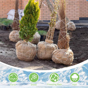 Rollo de tela de arpillera 100% yute ecológico para jardín, 40 pulgadas x 50 pies, color natural, para revestimiento de macizos elevados, cubierta de semillas y delimitación de maleza - Product Image 6