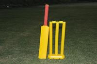 Bate de Cricket de Plástico Moldeado Tejido Resistente de Peso Medio para Niños de Tamaño Estándar de 8 a 12 Años y Mayores de 12 Años