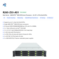 Serveur Rack 2U à Socket Unique R265 ZG0 Z33 DG0 AS1 AMD EPYC 9006 DDR5 avec 12/8 Baies de Disques et Accélération GPU pour Entreprises