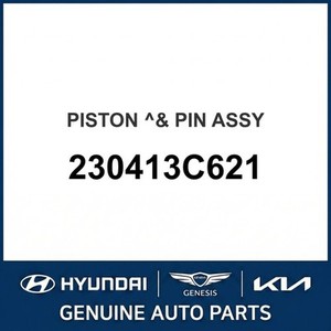 Nouveaux pistons et segments Veracruz 230413C621 - Product Image 1