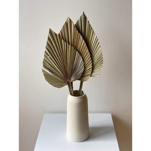 Abanico Decorativo de Palma de Alta Demanda, Perfecto para Recuerdos de Boda y Decoración de Eventos, Ambiente Natural - Product Image 5