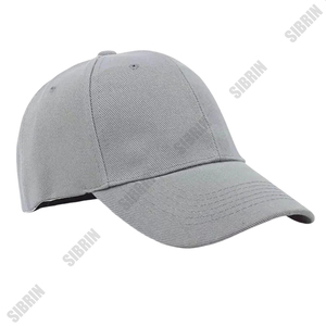 SIBRIN 6 Panel Custom <b>Baseball</b> <b>Cap</b> Hot Gray Curved Brim Motorsport Skateboarding Outdoor Streetwear Casual Sports P <b>Caps</b> - Product Image 1