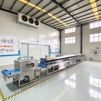 Automatische machine voor het vriesdrogen van kokoschips met chocoladecoating en koeltunnel met lage temperatuur voor fruitvoedingsfabrieken