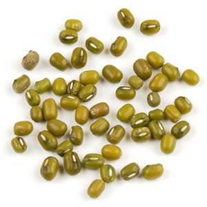 Exportateur de haricots mungo verts frais de la ferme pour les importateurs, les usines alimentaires et les distributeurs de produits agricoles - Product Image 1