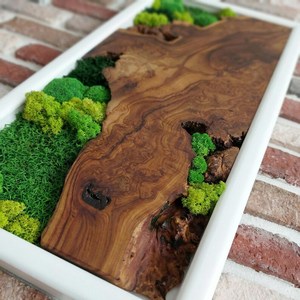 Decoración de pared de madera con textura de musgo, arte de madera premium, decoración biófila para interiores, arte de pared elegante inspirado en la naturaleza. - Product Image 1