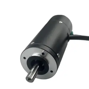 40mm Size With Encoder 100w3000rpm 24V Precise Positioning Brushless DC Motor