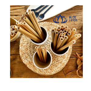 [NOUVEAU] Pailles en bambou jetables biodégradables en fibres naturelles organiques avec logo personnalisé ECO - Product Image 5