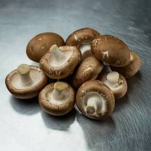 Hongos Shiitake Secos de Marca Privada OEM, Empaque Personalizado Disponible - Product Image 3