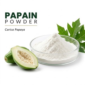 Papaína en Polvo de Grado Alimenticio, Extracto de Fruta de Carica Papaya, Ingrediente para el Procesamiento de Alimentos - Product Image 1