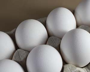 Huevos Blancos de Primera Calidad, Frescos de Granja, Higiénicos y Ricos en Nutrientes, Huevos de Gallina para Servicios de Alimentación, Supermercados y Exportación a Precio Económico - Product Image 2