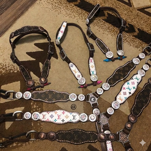 Conjunto de cabezada y pechopetral de lujo estilo western, diseños premium para caballos, conjunto de arreos de lujo para caballo de tracción completo, juego completo. - Product Image 2