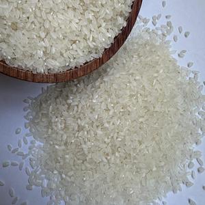 [Keith Vilaconic] Arroz Camolino de Vietnam | Textura sedosa y sabor aromático | Ideal para cocinar y exportar a nivel mundial - Product Image 4