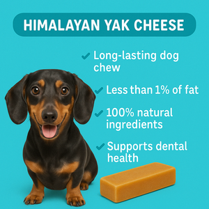 ODM Custom Private Label Himalayan Yak Chews Golosinas duras a base de leche de origen ético para dientes fuertes y estimulación mental - Product Image 6