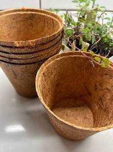 Pots en Fibres de Coco 100% Naturels et Biodégradables pour Semis, Pépinières, Jardinage et Culture de Plantes - Product Image 4