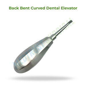 Elevador Dental Recto Manual de Acero Inoxidable de 4.5mm, Instrumento Quirúrgico Dental para Separación y Extracción de Dientes - Product Image 2