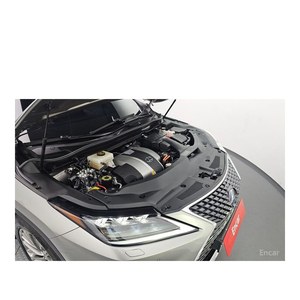 Lexus RX Executive con Cámara Trasera, Asientos de Cuero, Modelo Agosto 2020, 45,244 km, Volante a la Izquierda - Product Image 6