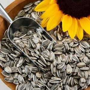 Graines de tournesol de qualité supérieure prêtes à être expédiées, qualité alimentaire, approvisionnement en vrac, fabricant exportateur de premier plan - Product Image 2