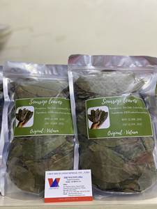 GROS FEUILLES DE SOURSOP SÉCHÉES/FEUILLES DE GRAVIOLA SÉCHÉES/ORIGINE DU VIETNAM // Kevin - Product Image 5