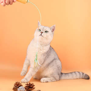 Luxury Eco-Friendly Smart <b>Cat</b> Turntable <b>Interactive</b> Fun Electric Feather Wand <b>Toy</b> with Teaser Stick - Product Image 2