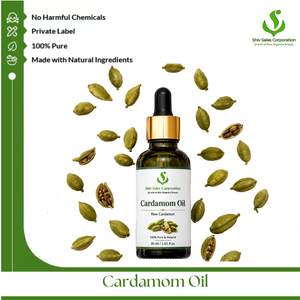 Fresh Cardamom Seed Oil for B2B Manufacturing Use Fragrance Blending Personal Care Products and Commercial Aroma Applications - Product Image 1