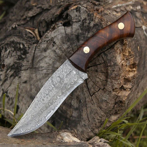 มีดล่าสัตว์แบบฟูลแทงค์ขนาด 10.5 นิ้ว ใหม่เอี่ยม ทำจากเหล็กดามัสกัส ปลายมีดทรงเทรลลิ่ง ด้ามไม้โรสวูด ตกแต่งด้วยทองเหลือง ลายหยดน้ำ - Product Image 1