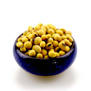 Soja à prix compétitif proposé aux revendeurs, importateurs et acheteurs de denrées alimentaires en vrac - Product Image 5