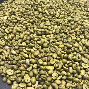 Best Selling 100% Natural <b>Robusta</b> <b>Coffee</b> <b>Beans</b> Green Process Jute Bag Top Manufacturer Wholesale Price Ready for Export - Product Image 1