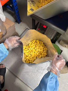 Bloques de Mango Liofilizado Premium, Snack de Fruta Natural Dulce, OEM ODM, Venta al por Mayor, Empaque a Granel, Vietnam - Product Image 4