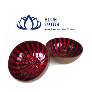 Tazón de Coco con Mosaico de Perlas Hecho a Mano en Vietnam, Ecológico, Diseño Clásico, Apto para Lavavajillas, para Decoración del Hogar, Venta al Por Mayor - Product Image 1