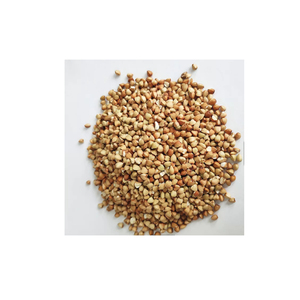 Vente en gros de blé dur de première qualité, qualité alimentaire, approvisionnement en vrac, prêt à l'exportation - Product Image 5