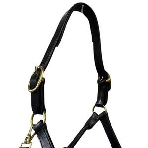 Cabestro de Cuero para Caballo de Polo, Tradicional Argentino, Cosido a Mano, con Hilo Encerado y Herrajes de Latón Resistente Ajustables, de Alta Calidad - Product Image 3