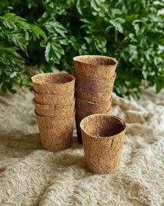 Pots en Fibres de Coco 100% Naturels et Biodégradables pour Semis, Pépinières, Jardinage et Culture de Plantes - Product Image 6