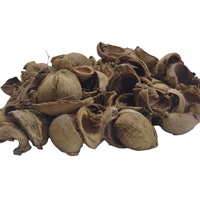Tokra Impex Pot-pourri en vrac de haute qualité, écologique, à base de coques de noix de bétel naturelles séchées, d'origine indienne, pour décoration