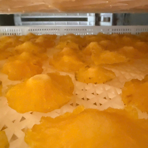 <b>Bulk</b> Soft Pineapple Slices Vietnam Manufacturer for Importers - Product Image 6