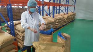 Pimienta Negra Molido Premium en Malla 40/60, Calidad Estándar ASTA, Esterilizado al Vapor, Origen Vietnam, Para Sazonar, Venta a Granel - Product Image 6