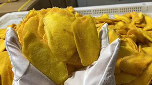 99 GD Mia Mango Deshidratado en Rodajas de Alta Calidad, Sabor Agridulce, Procesado con AD, en Bolsas de PE, Sin Azúcar, Almacenamiento en Frío, 0.5kg, de Vietnam - Product Image 2