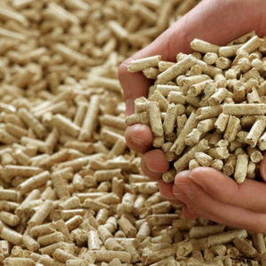 Granulés de bois de pin à combustion propre pour systèmes de chauffage à biomasse, production d'énergie et applications énergétiques de cuisson éco-responsable - Product Image 2